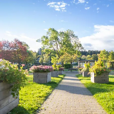 Hexenglueck Und Hexenzauber Hahnenklee Daire