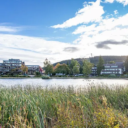 Apartament Hexenglueck Und Hexenzauber Hahnenklee *