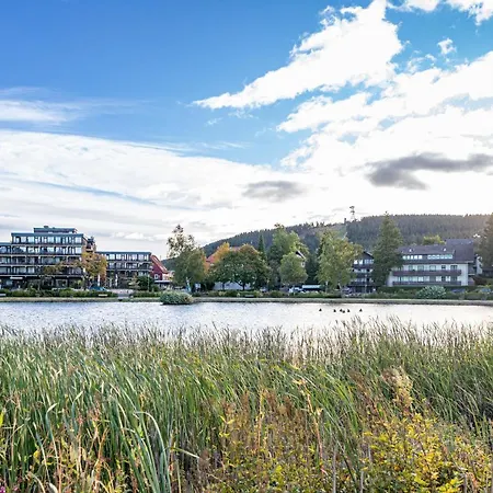 アパート Hexenglueck Und Hexenzauber Hahnenklee *