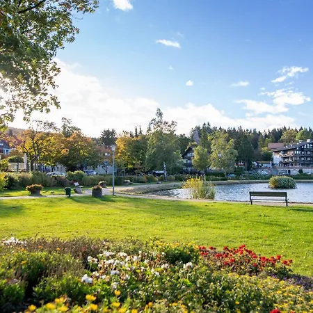 Hexenglueck Und Hexenzauber Hahnenklee Apartman *