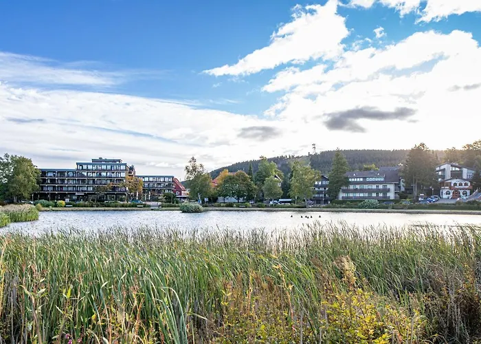 Apartamento Hexenglueck Und Hexenzauber Hahnenklee *