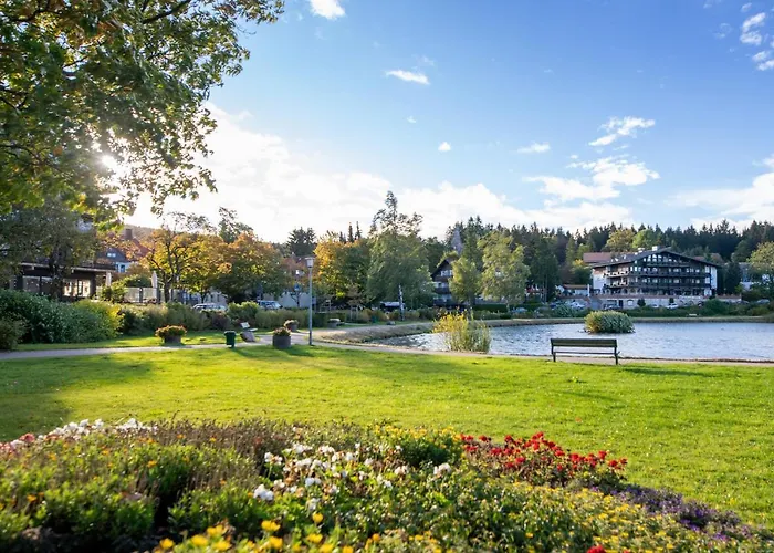 Hexenglueck Und Hexenzauber Hahnenklee Apartamento *